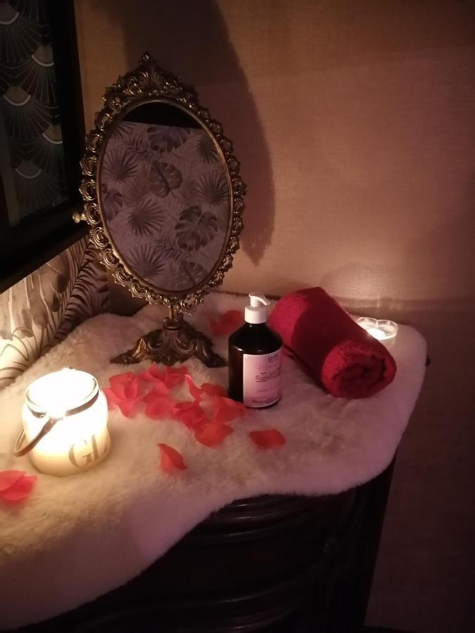 Romantisme Et Glamour Avec Spa ,Jardin Proche Zenith ディジョン エクステリア 写真